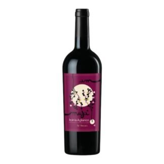 Bottle of Irpinia Aglianico DOC by Za’ Monaca, Italian red wine from Campania, 13.5% ABV